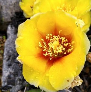 Meet your Posher, Nicky